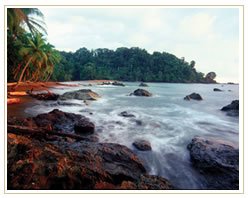 Slider image (9) Clinica Gadea Ramirez | Dental Services